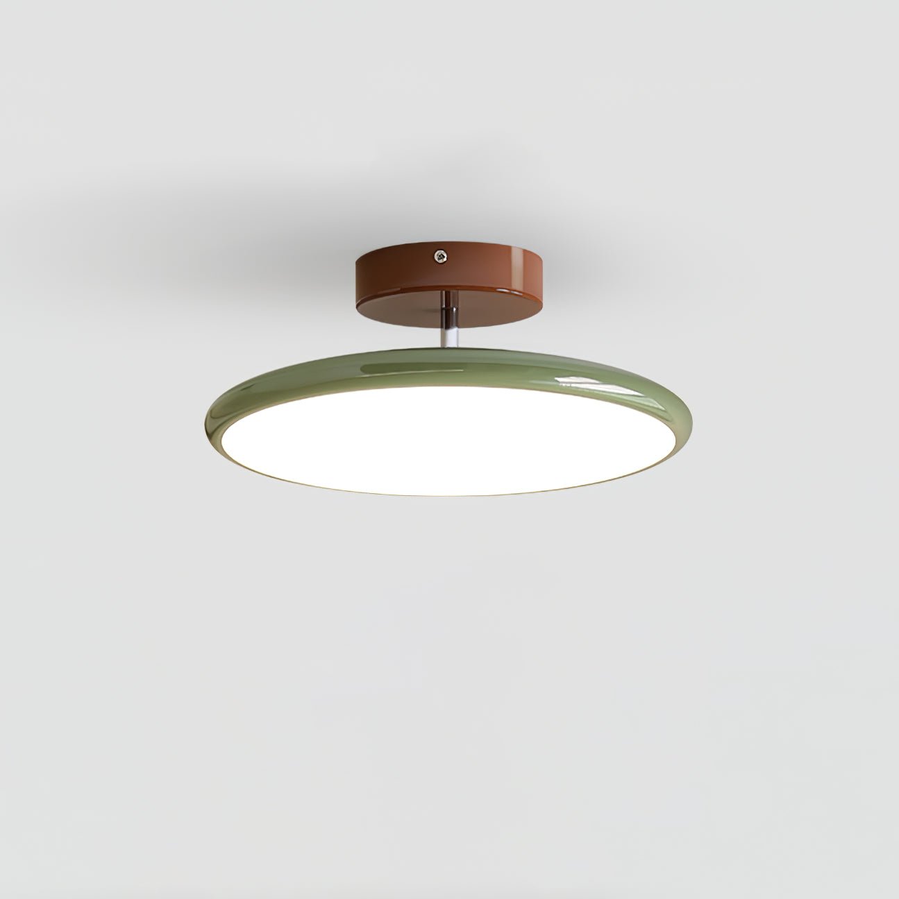 Adjustable Ring LED Ceiling Light