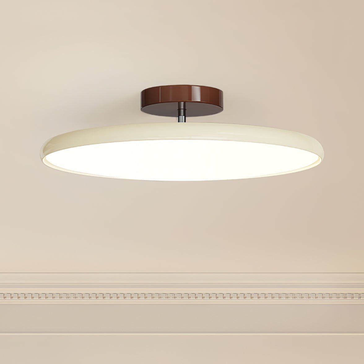 Adjustable Ring LED Ceiling Light