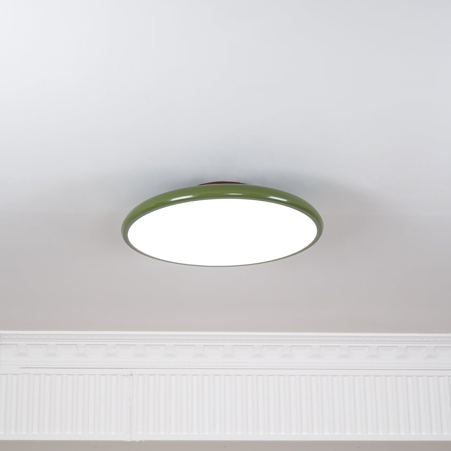 Adjustable Ring LED Ceiling Light