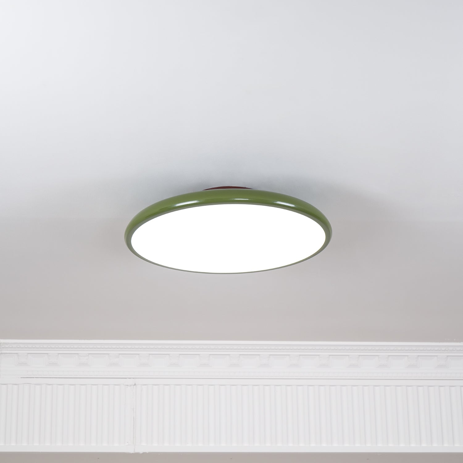 Adjustable Ring LED Ceiling Light
