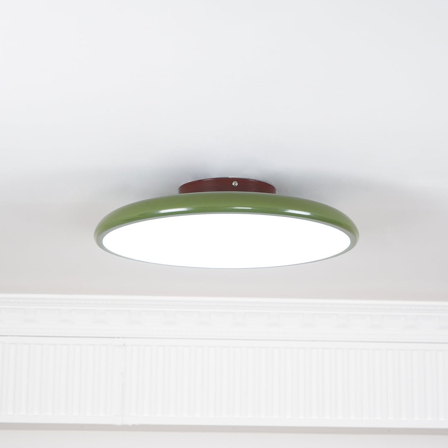 Adjustable Ring LED Ceiling Light