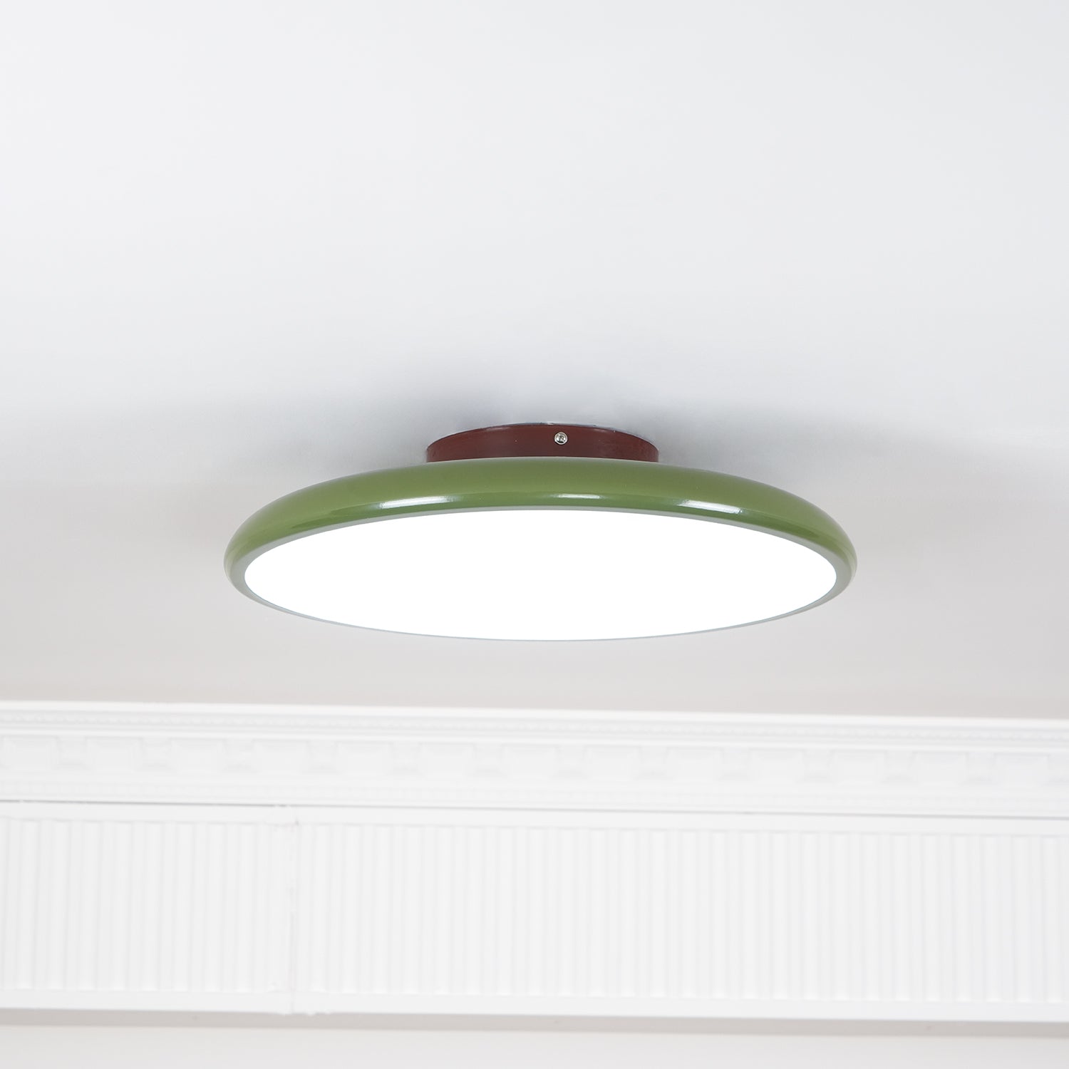 Adjustable Ring LED Ceiling Light