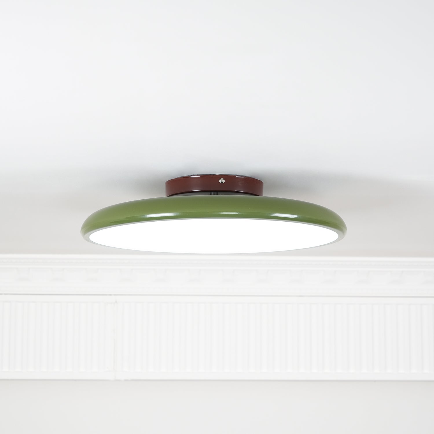 Adjustable Ring LED Ceiling Light