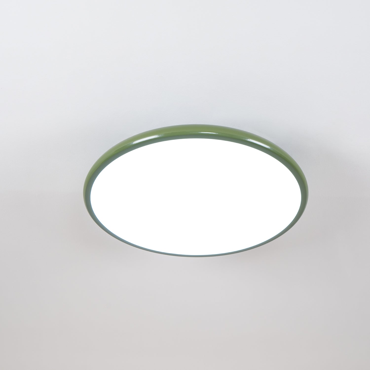 Adjustable Ring LED Ceiling Light
