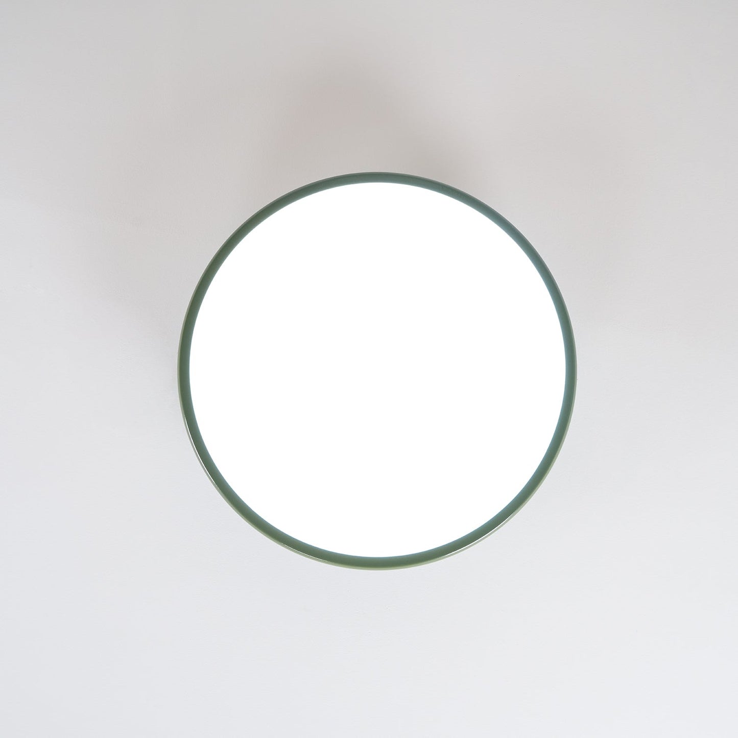Adjustable Ring LED Ceiling Light