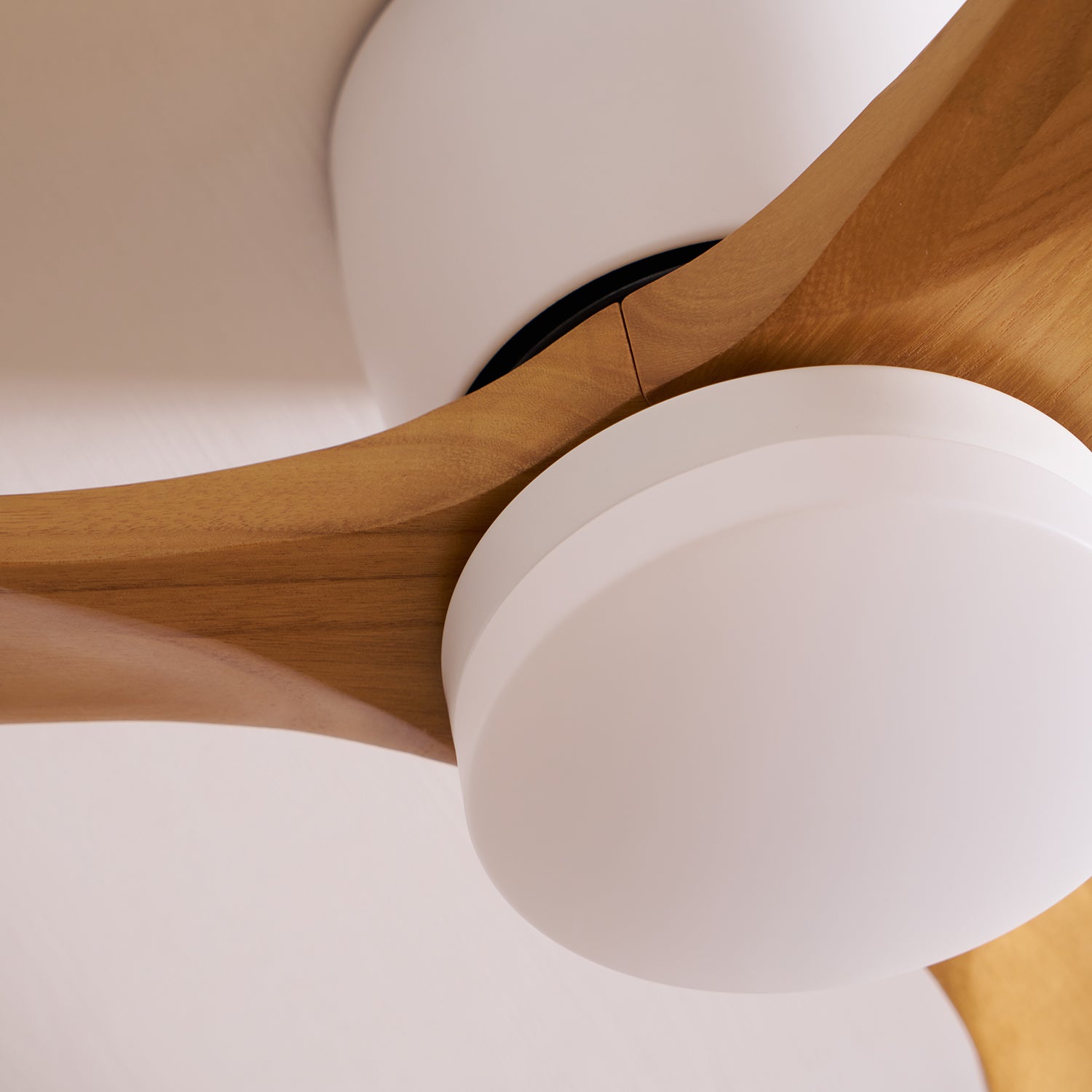 Nordic Wood LED Ceiling Fan Light / ∅ 52″ x H 11″ / White & Walnut Wood / Three-Color Changing Light